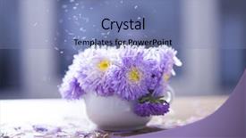  Presentation with pink flowers - Amazing slides having falling yellow petals - beautiful pink aster flowers backdrop and a  colored foreground