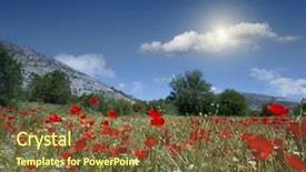  Presentation with poppy - Audience pleasing slide deck consisting of falling yellow petals - red poppy and wild flowers backdrop and a  colored foreground