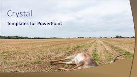  Presentation with deer - Cool new PPT theme with laying dead in a field backdrop and a sky blue colored foreground