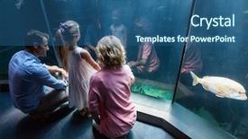  Presentation with fish aquarium - Presentation theme featuring familly looking at fish tank background and a ocean colored foreground