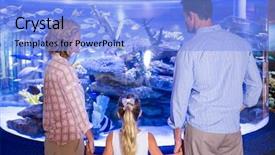  Presentation with fish aquarium - Presentation design having familly looking at fish tank background and a light blue colored foreground
