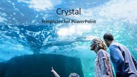  Presentation with fish aquarium - Presentation consisting of familly looking at fish tank background and a light blue colored foreground