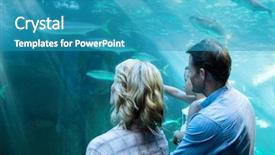  Presentation with fish aquarium - Audience pleasing presentation theme consisting of familly looking at fish tank backdrop and a teal colored foreground