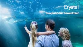 Presentation with fish aquarium - Cool new presentation theme with familly looking at fish tank backdrop and a teal colored foreground
