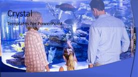  Presentation with fish aquarium - PPT theme having familly looking at fish tank background and a light blue colored foreground