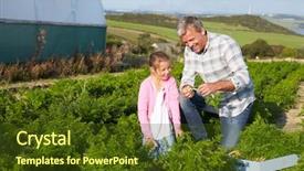  Presentation with daughter - Presentation design featuring family business - farmer with daughter harvesting organic background and a tawny brown colored foreground
