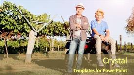  Presentation with father son and looking - Amazing PPT layouts having family farm - father and son in vineyard backdrop and a  colored foreground