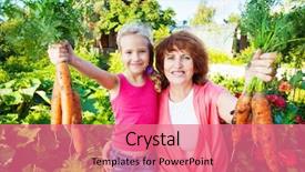  Presentation with harvest - Slides consisting of family farm - woman grows harvest background and a coral colored foreground