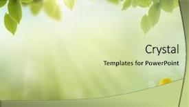  Presentation with spring - Amazing slide deck having family growth - fresh spring bokeh background backdrop and a soft green colored foreground