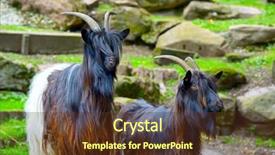  Presentation with mountain - Presentation theme featuring family mountain goats in park background and a tawny brown colored foreground