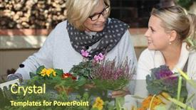  Presentation with grandma - Cool new slides with grandma and home helper backdrop and a tawny brown colored foreground