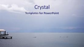  Presentation with geese - PPT theme featuring family of canada geese swimming background and a sky blue colored foreground