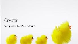  Presentation with chicks - PPT layouts enhanced with family of easter chicks background and a white colored foreground