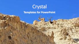  Presentation with ancient israel - Audience pleasing presentation design consisting of family of mountain goats with huge curved horns the ancient mountains near eilat israel backdrop and a cobalt blue colored foreground