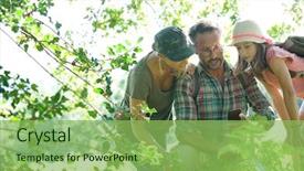  Presentation with trees forest lumber - Slide deck featuring family on rambling day looking background and a seafoam green colored foreground