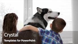  Presentation with children doing kids gym - Presentation consisting of family pedigree - cute little children with husky background and a wine colored foreground