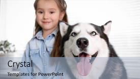  Presentation with husky - Cool new PPT layouts with family pedigree - cute little girl with husky backdrop and a light blue colored foreground