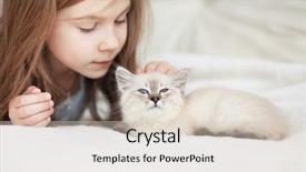  Presentation with kitten - Presentation design consisting of family pedigree - home portrait of adorable child background and a soft green colored foreground