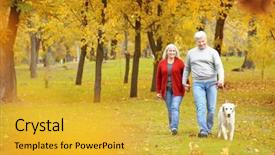  Presentation with dog park - Audience pleasing PPT theme consisting of family pedigree - mature couple walking their dog backdrop and a gold colored foreground