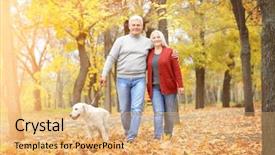  Presentation with dog park - Slide set featuring family pedigree - mature couple walking their dog background and a yellow colored foreground