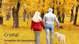  Presentation with dog park - Amazing presentation design having family pedigree - mature couple walking their dog backdrop and a gold colored foreground