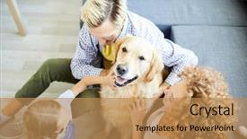  Presentation with golden woman - Slide deck enhanced with family pedigree - overview of young golden labrador background and a coral colored foreground