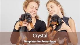  Presentation with doberman - Colorful theme enhanced with family pedigree - portrait of mother and daughter backdrop and a tawny brown colored foreground