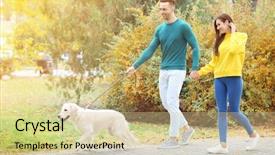  Presentation with dog park animal jack - Presentation theme having family pedigree - young couple walking their dog background and a soft green colored foreground