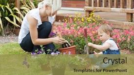  Presentation with blooming flower animated - PPT layouts enhanced with family plant colorful flowers background and a gold colored foreground