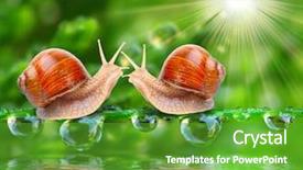  Presentation with love - Amazing slide deck having family preservation - love-making snails couple backdrop and a shamrock green colored foreground