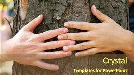  Presentation with tree - Slide set consisting of family preservation - two persons hugging trunk large background and a tawny brown colored foreground