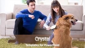  Presentation with happy birthday gold - Theme having family with golden retriever dog background and a  colored foreground