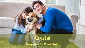  Presentation with golden - Theme having family with golden retriever dog background and a  colored foreground