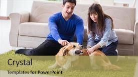  Presentation with happy birthday gold - Theme consisting of family with golden retriever dog background and a  colored foreground