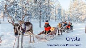  Presentation with winter family - Beautiful presentation featuring family with kids at reindeer backdrop and a lemonade colored foreground
