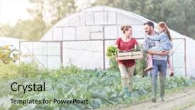  Presentation with vegetables - Amazing presentation having family with vegetables in crate backdrop and a  colored foreground