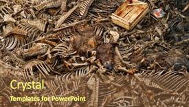  Presentation with famine - PPT layouts featuring famine - animal graves near the lake background and a tawny brown colored foreground