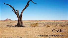  Presentation with famine - Colorful presentation theme enhanced with famine - dead tree in namib desert backdrop and a coral colored foreground