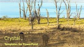  Presentation with kenya - Audience pleasing slide deck consisting of famous-african-big-five-picturesque backdrop and a tawny brown colored foreground