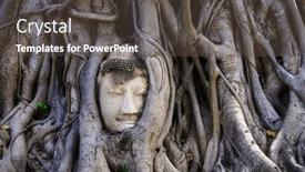  Presentation with tree roots - Presentation with famous-buddha-head-tangled background and a tawny brown colored foreground