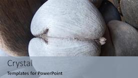  Presentation with coconut - Slides featuring famous-coco-de-mer-endemic background and a light blue colored foreground