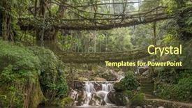  Presentation with tree roots - Beautiful slide set featuring famous double decker living roots backdrop and a tawny brown colored foreground