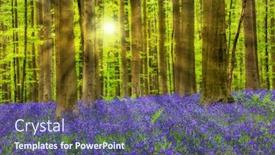  Presentation with brussels - Audience pleasing PPT theme consisting of famous-forest-hallerbos-in-brussels backdrop and a ocean colored foreground