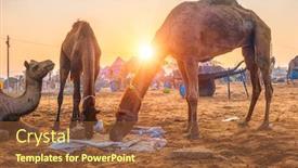 Presentation with rajasthan festival - Slide deck enhanced with famous-indian-camels-trade-pushkar background and a tawny brown colored foreground