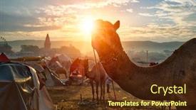  Presentation with fair trade - Theme enhanced with famous-indian-camels-trade-pushkar background and a tawny brown colored foreground