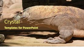  Presentation with dragon - Colorful theme enhanced with famous-komodo-dragon-world backdrop and a tawny brown colored foreground