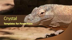  Presentation with dragon - PPT theme having famous-komodo-dragon-world background and a tawny brown colored foreground