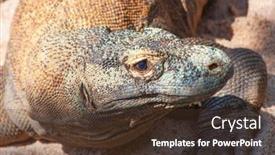 Presentation with dragon - Amazing theme having famous-komodo-dragon-world backdrop and a tawny brown colored foreground