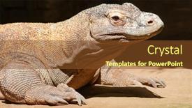  Presentation with dragon - Theme with famous-komodo-dragon-world background and a tawny brown colored foreground