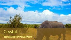  Presentation with kruger - Colorful PPT theme enhanced with famous-kruger-park-african-white backdrop and a tawny brown colored foreground